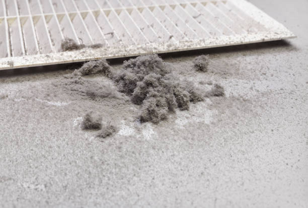 Best HVAC Duct Inspection Services  in Crownpoint, NM